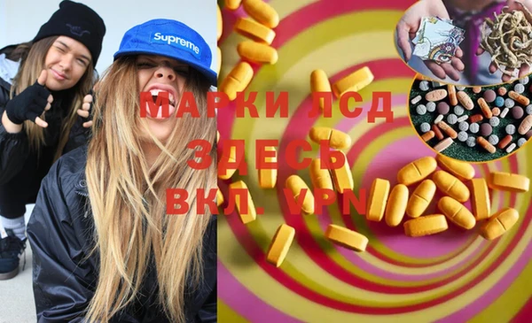 стафф Тайга