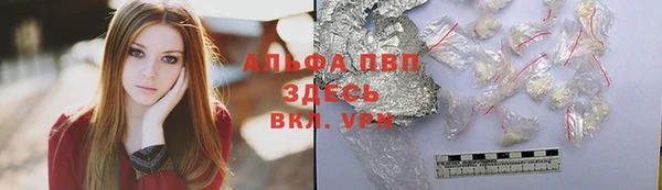 ПСИЛОЦИБИНОВЫЕ ГРИБЫ Гусь-Хрустальный