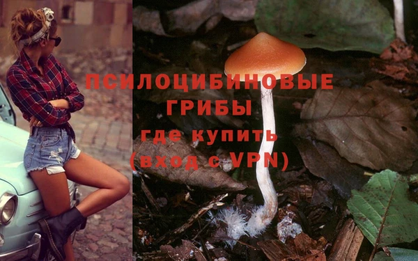 а пвп мука Тавда