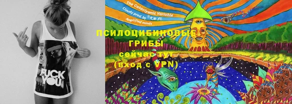 ПСИЛОЦИБИНОВЫЕ ГРИБЫ Гусь-Хрустальный