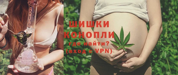 бошки Гусиноозёрск