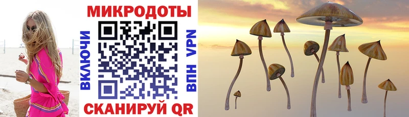 что такое наркотик  Меленки  Псилоцибиновые грибы ЛСД 